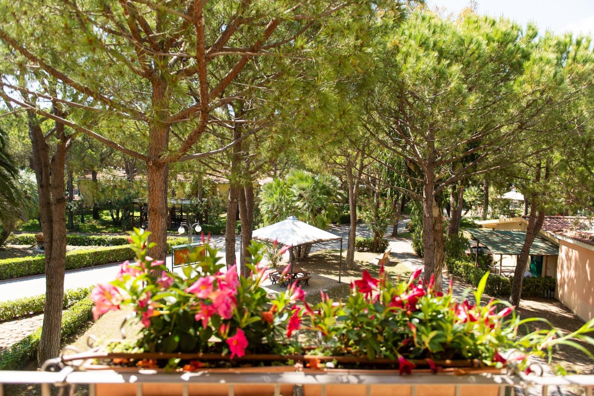 Salinello Village Sorrento Oda fotoğraf